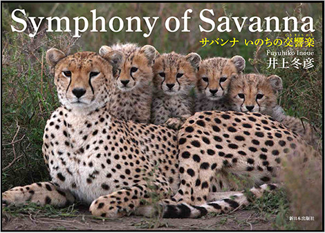 Symphony of Savanna - サバンナ いのちの交響楽-